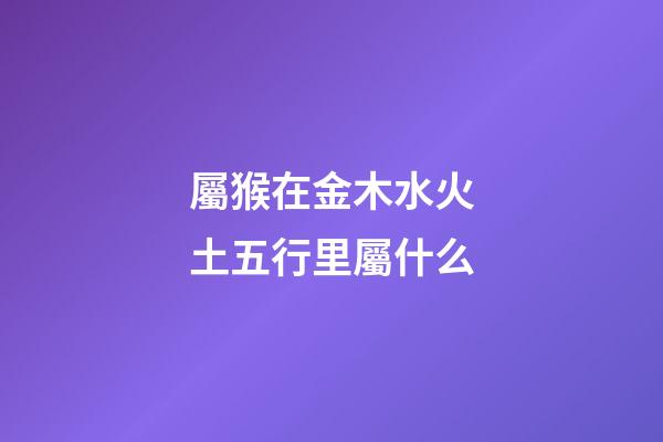 屬猴在金木水火土五行里屬什么