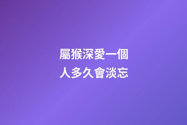 屬猴深愛一個人多久會淡忘