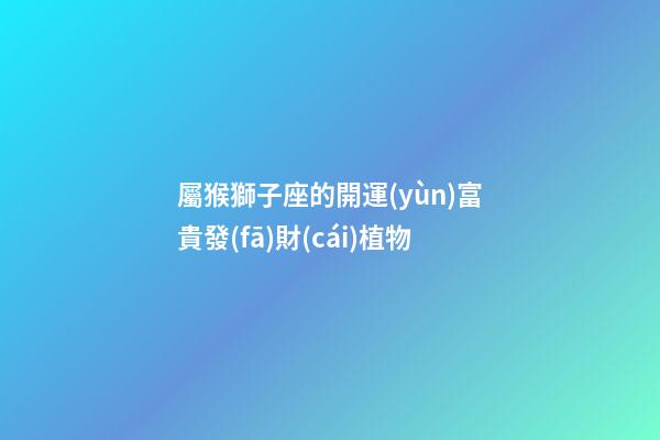 屬猴獅子座的開運(yùn)富貴發(fā)財(cái)植物-第1張-星座運(yùn)勢-玄機(jī)派