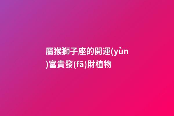屬猴獅子座的開運(yùn)富貴發(fā)財植物