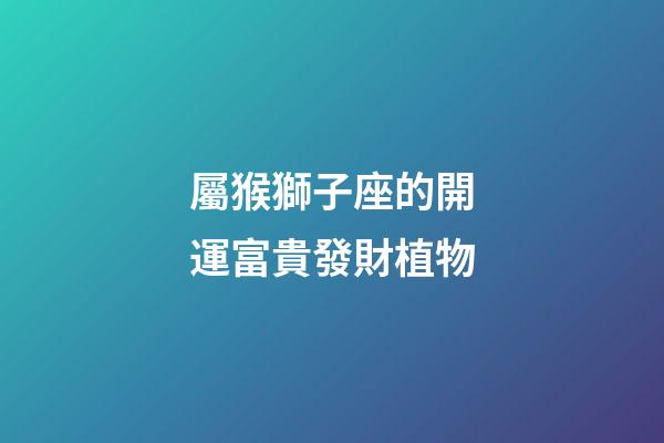 屬猴獅子座的開運富貴發財植物