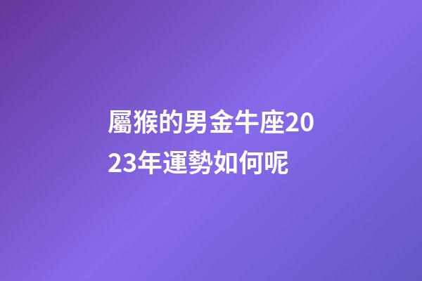 屬猴的男金牛座2023年運勢如何呢-第1張-星座運勢-玄機派