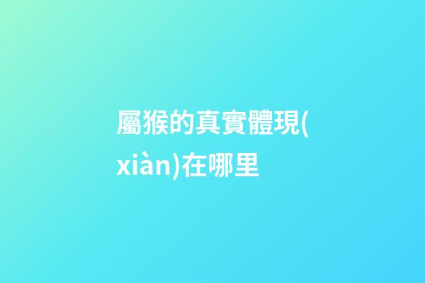 屬猴的真實體現(xiàn)在哪里