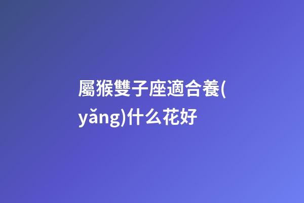 屬猴雙子座適合養(yǎng)什么花好-第1張-星座運(yùn)勢-玄機(jī)派