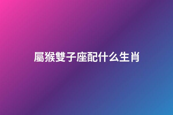 屬猴雙子座配什么生肖-第1張-星座運勢-玄機派