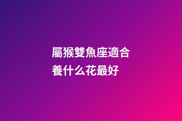屬猴雙魚座適合養什么花最好-第1張-星座運勢-玄機派