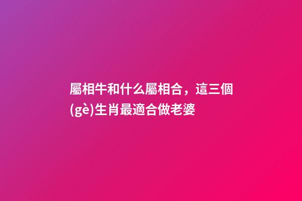 屬相牛和什么屬相合，這三個(gè)生肖最適合做老婆-第1張-觀點(diǎn)-玄機(jī)派