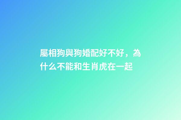 屬相狗與狗婚配好不好，為什么不能和生肖虎在一起-第1張-觀點-玄機派