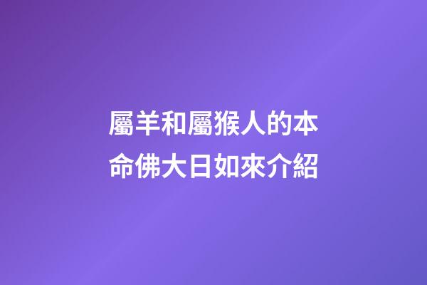 屬羊和屬猴人的本命佛大日如來介紹