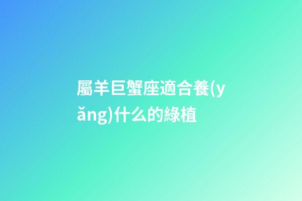 屬羊巨蟹座適合養(yǎng)什么的綠植