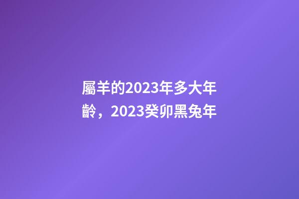 屬羊的2023年多大年齡，2023癸卯黑兔年-第1張-觀點-玄機派