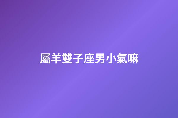屬羊雙子座男小氣嘛