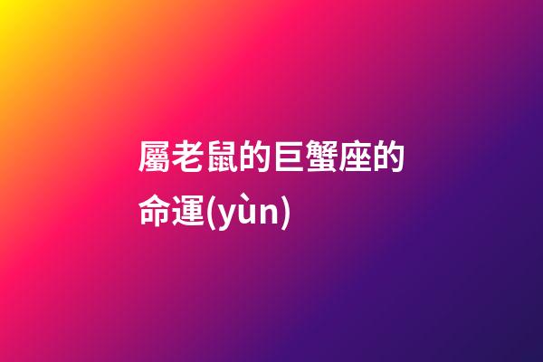 屬老鼠的巨蟹座的命運(yùn)-第1張-星座運(yùn)勢-玄機(jī)派
