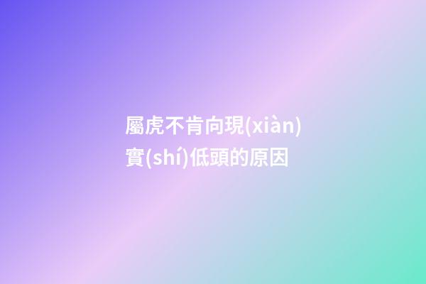屬虎不肯向現(xiàn)實(shí)低頭的原因