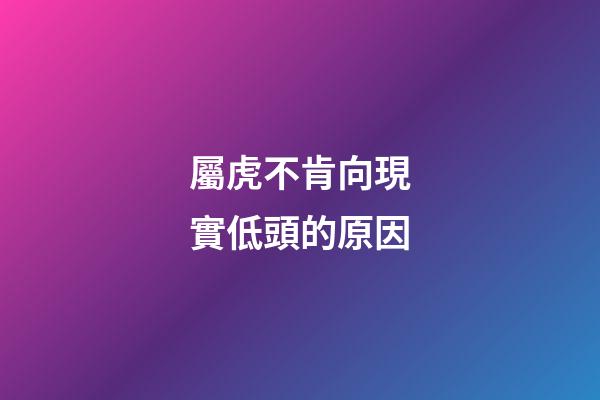 屬虎不肯向現實低頭的原因