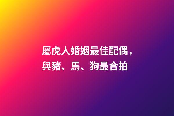 屬虎人婚姻最佳配偶，與豬、馬、狗最合拍