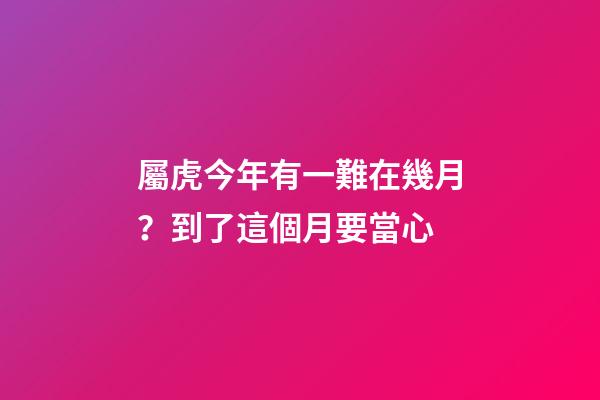 屬虎今年有一難在幾月？到了這個月要當心