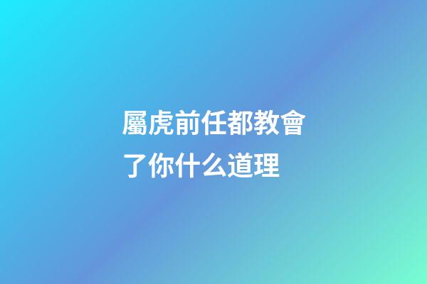 屬虎前任都教會了你什么道理