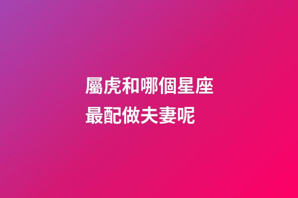 屬虎和哪個星座最配做夫妻呢-第1張-星座運勢-玄機派