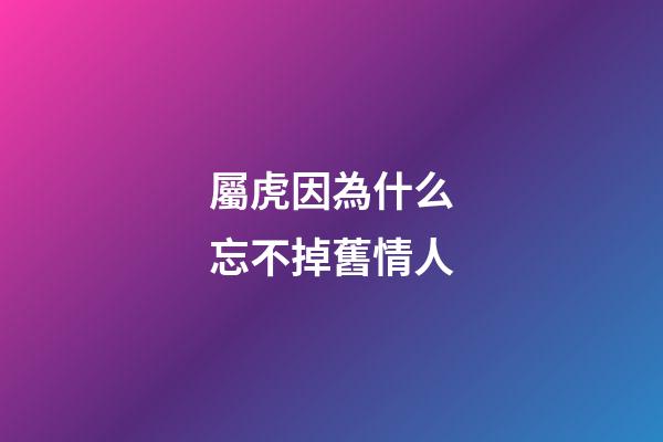 屬虎因為什么忘不掉舊情人