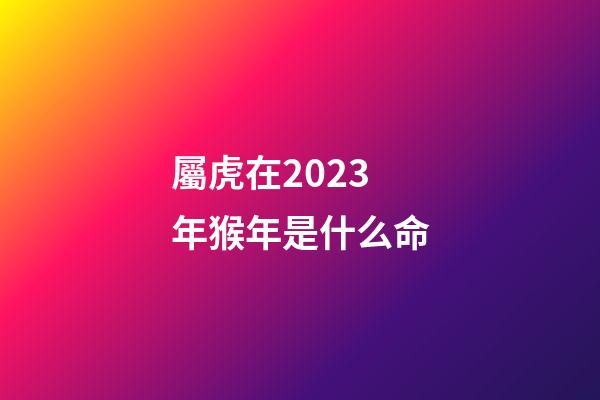 屬虎在2023年猴年是什么命