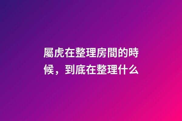 屬虎在整理房間的時候，到底在整理什么