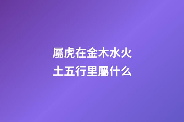 屬虎在金木水火土五行里屬什么