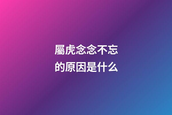 屬虎念念不忘的原因是什么