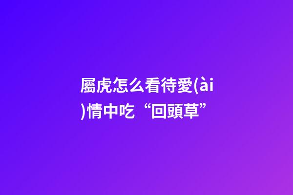 屬虎怎么看待愛(ài)情中吃“回頭草”