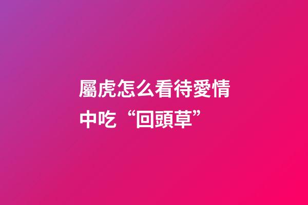 屬虎怎么看待愛情中吃“回頭草”