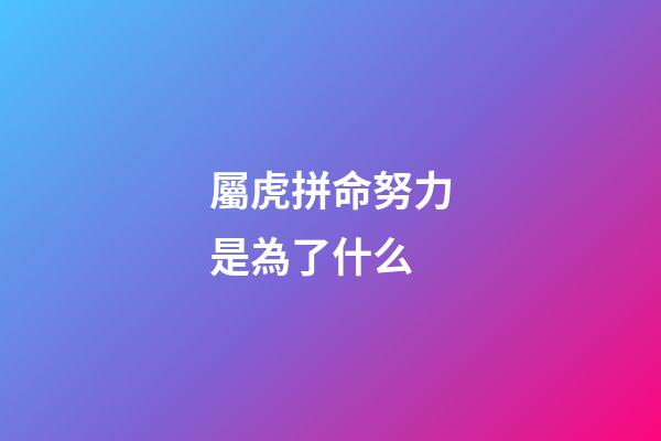 屬虎拼命努力是為了什么