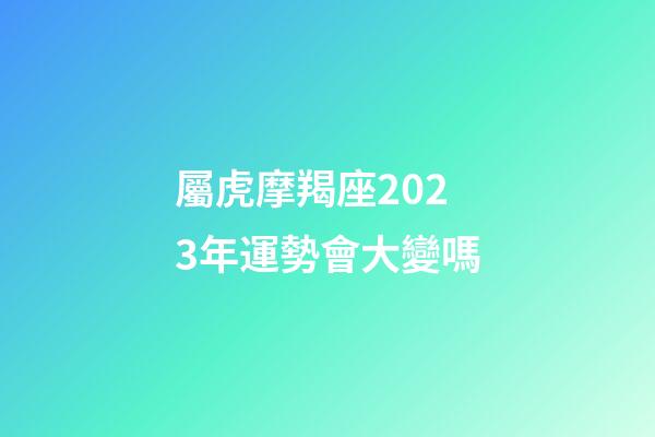 屬虎摩羯座2023年運勢會大變嗎