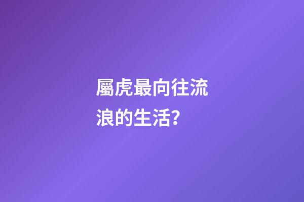 屬虎最向往流浪的生活？