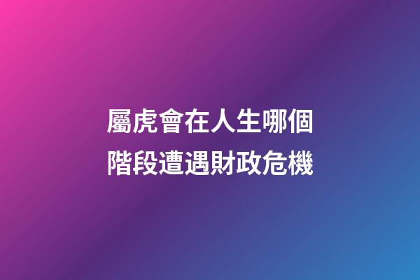 屬虎會在人生哪個階段遭遇財政危機