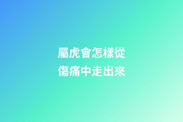 屬虎會怎樣從傷痛中走出來