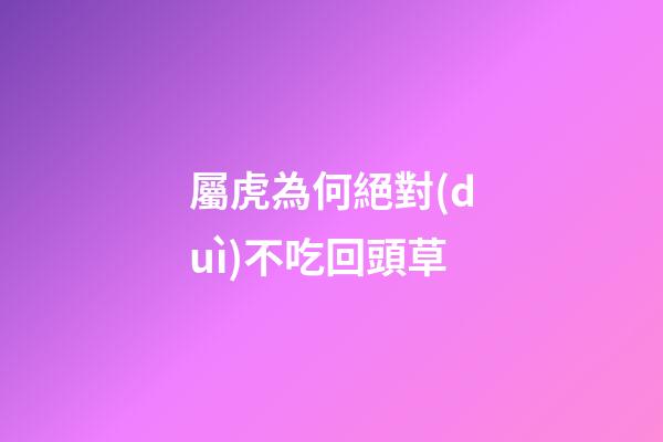 屬虎為何絕對(duì)不吃回頭草