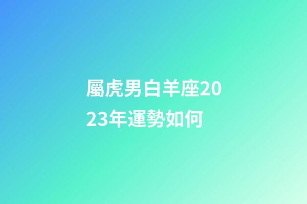 屬虎男白羊座2023年運勢如何-第1張-星座運勢-玄機派