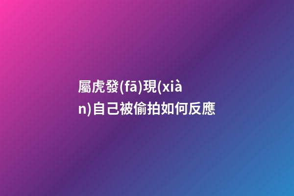 屬虎發(fā)現(xiàn)自己被偷拍如何反應