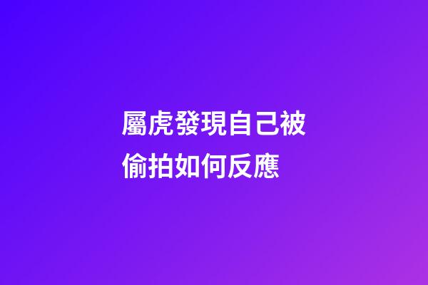 屬虎發現自己被偷拍如何反應