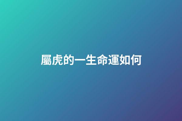 屬虎的一生命運如何
