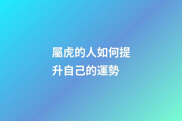 屬虎的人如何提升自己的運勢
