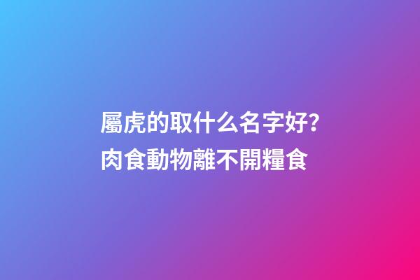 屬虎的取什么名字好？肉食動物離不開糧食