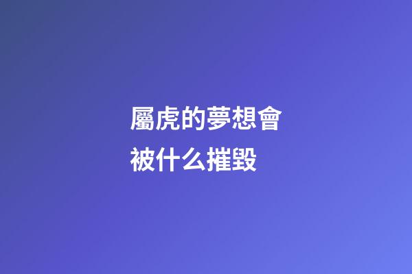 屬虎的夢想會被什么摧毀