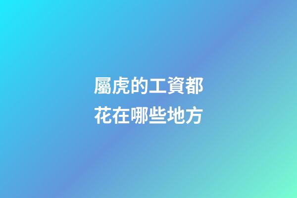 屬虎的工資都花在哪些地方