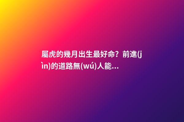 屬虎的幾月出生最好命？前進(jìn)的道路無(wú)人能擋