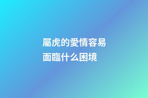屬虎的愛情容易面臨什么困境