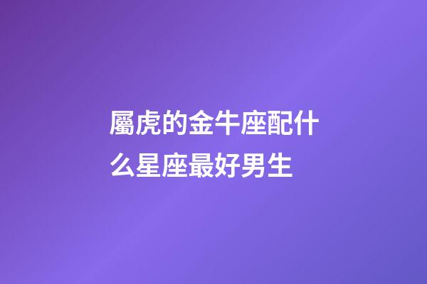 屬虎的金牛座配什么星座最好男生-第1張-星座運勢-玄機派