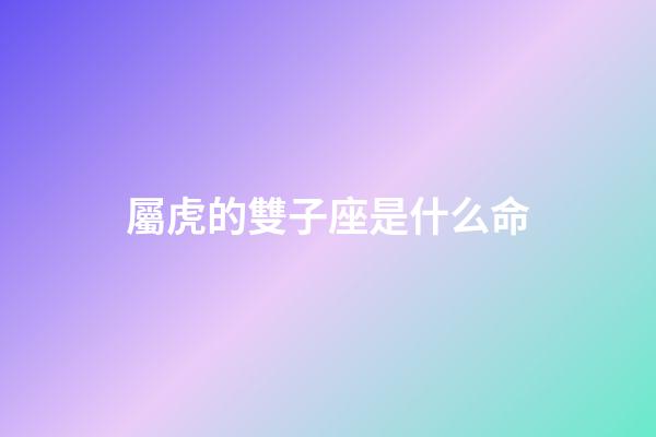 屬虎的雙子座是什么命-第1張-星座運勢-玄機派