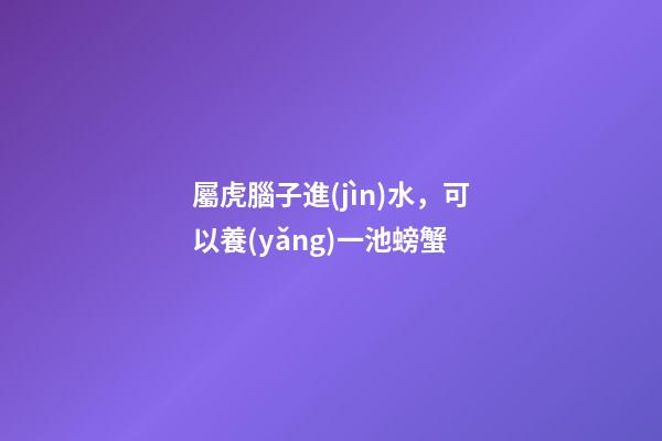 屬虎腦子進(jìn)水，可以養(yǎng)一池螃蟹
