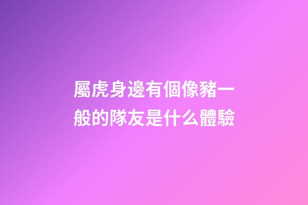 屬虎身邊有個像豬一般的隊友是什么體驗